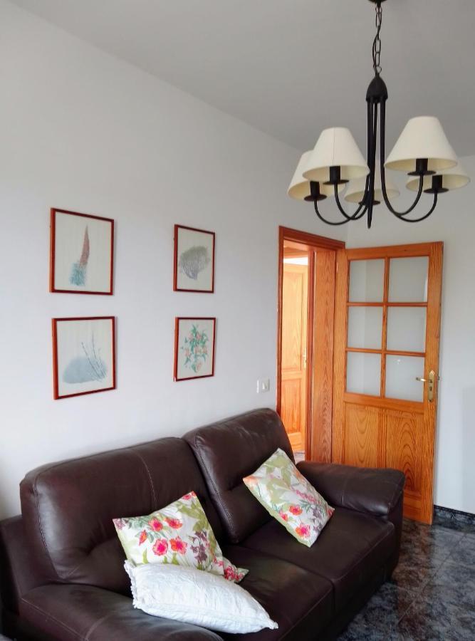 Casa Rural Mary San Miguel de Abona Ngoại thất bức ảnh