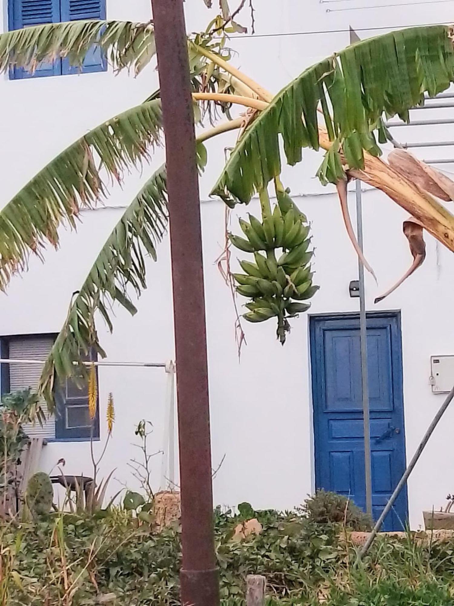 Casa Rural Mary San Miguel de Abona Ngoại thất bức ảnh